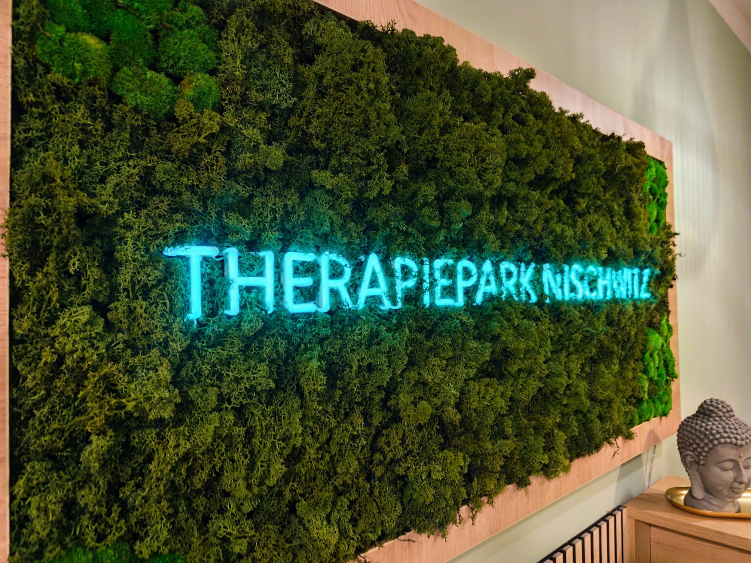 WhatsApp Image 2025-12-19 at 20.11.29